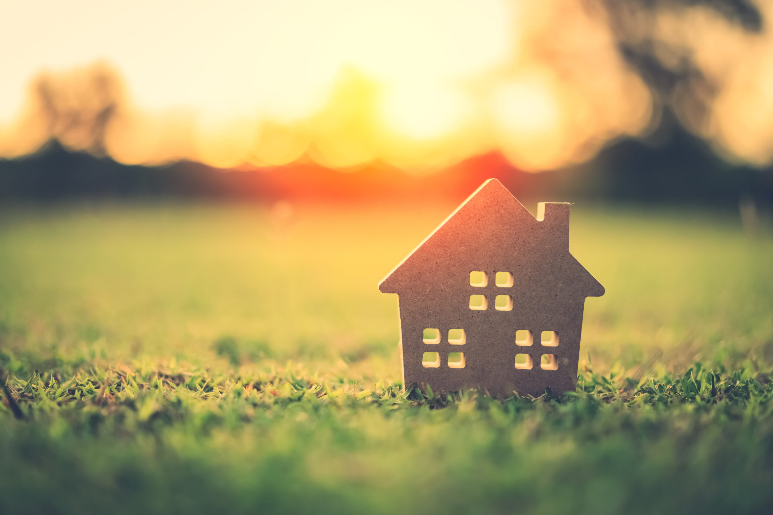 Image of a tiny wooden house on grass